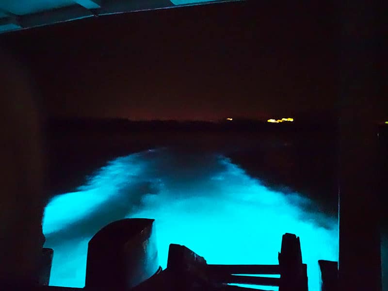 Luminous Lagoon Night Tour from Ocho Rios » Jamaica Shores Adventures
